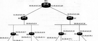 2017年計(jì)算機(jī)網(wǎng)絡(luò)技術(shù)應(yīng)用試題解析與開發(fā)趨勢探討